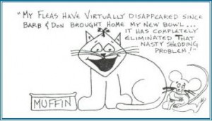 Testimony-Pet Dish